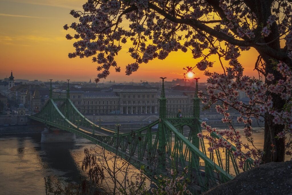 Image of the Liberty Bridge in Budapest, Hungary. 