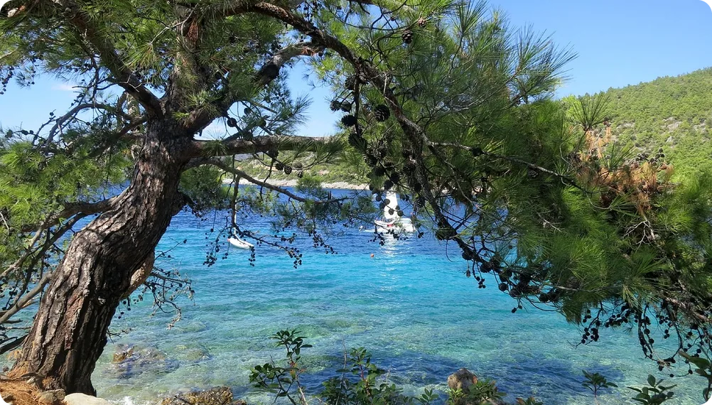 Turquoise bay on the Aegean coast of Turkey